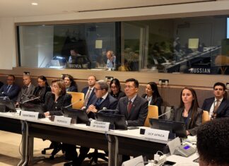 Women grow 70% of Africa’s food… so why are they still shut out? OCP sounds alarm at UN OCP takes centre stage at UN with bold push to empower Africa’s women farmers