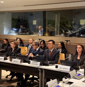 Women grow 70% of Africa’s food… so why are they still shut out? OCP sounds alarm at UN OCP takes centre stage at UN with bold push to empower Africa’s women farmers