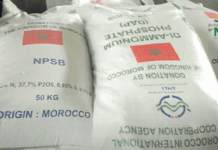Morocco pact secures 2.5m tons of fertilizers for India India has agreed to buy 2.5 million tons of fertilizers from Morocco to make sure farmers have enough for the 2025–2026 season.