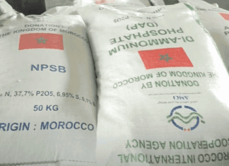 Morocco pact secures 2.5m tons of fertilizers for India India has agreed to buy 2.5 million tons of fertilizers from Morocco to make sure farmers have enough for the 2025–2026 season.