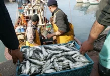 Morocco joins UN project to make fishing more sustainable Morocco is taking part in a UN-backed project to make fishing more sustainable and boost the country’s “blue economy,”