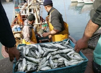 Morocco joins UN project to make fishing more sustainable Morocco is taking part in a UN-backed project to make fishing more sustainable and boost the country’s “blue economy,”