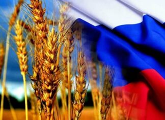Morocco turns east: Russia becomes major wheat supplier Morocco is buying more grain from Russia, showing a big change in how the country gets its food as supply chains face disruptions