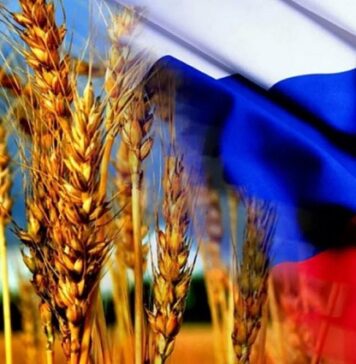 Morocco turns east: Russia becomes major wheat supplier Morocco is buying more grain from Russia, showing a big change in how the country gets its food as supply chains face disruptions