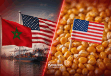 Morocco becomes top Atlantic buyer of US corn as poultry demand rises Morocco is buying more US corn through Atlantic ports as demand from its poultry industry grows, according to the latest US government figures.