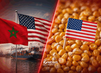 Morocco becomes top Atlantic buyer of US corn as poultry demand rises Morocco is buying more US corn through Atlantic ports as demand from its poultry industry grows, according to the latest US government figures.