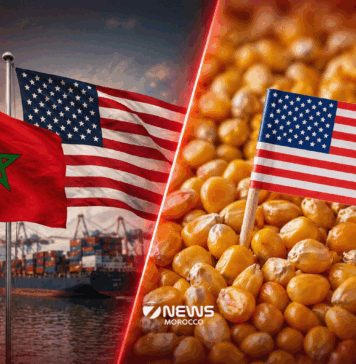 Morocco becomes top Atlantic buyer of US corn as poultry demand rises Morocco is buying more US corn through Atlantic ports as demand from its poultry industry grows, according to the latest US government figures.