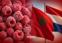 Morocco enters top five frozen raspberry suppliers to Netherlands Morocco is now one of the top five suppliers of frozen raspberries to the Netherlands in 2025, as its exports in the sector continue to grow quickly and steadily.