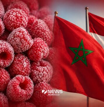 Morocco enters top five frozen raspberry suppliers to Netherlands Morocco is now one of the top five suppliers of frozen raspberries to the Netherlands in 2025, as its exports in the sector continue to grow quickly and steadily.