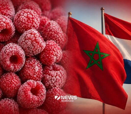 Morocco enters top five frozen raspberry suppliers to Netherlands Morocco is now one of the top five suppliers of frozen raspberries to the Netherlands in 2025, as its exports in the sector continue to grow quickly and steadily.