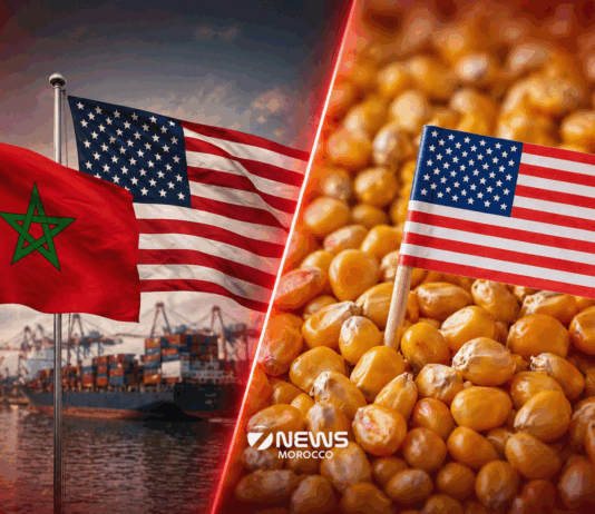 Morocco becomes top Atlantic buyer of US corn as poultry demand rises Morocco is buying more US corn through Atlantic ports as demand from its poultry industry grows, according to the latest US government figures.