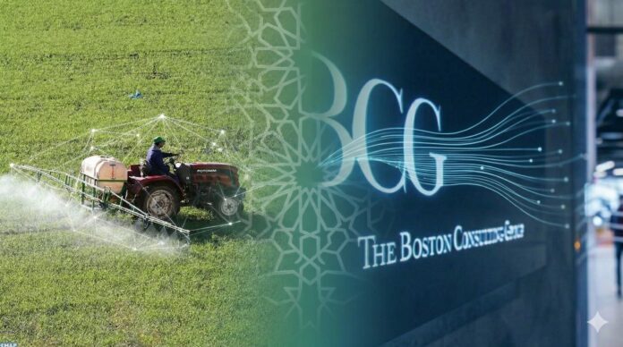 Morocco awards $1.18m contract to Boston Consulting Group-led team to map farming future to 2050