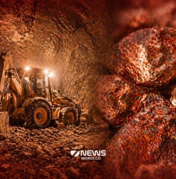 Talisman Metals PLC begins fieldwork at Tirzzit Copper Project Talisman Metals PLC has begun fieldwork at its Tirzzit Copper Project, marking its first major on the ground campaign