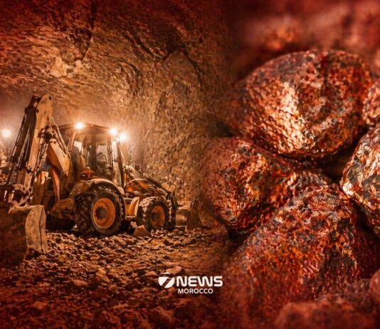 Talisman Metals PLC begins fieldwork at Tirzzit Copper Project Talisman Metals PLC has begun fieldwork at its Tirzzit Copper Project, marking its first major on the ground campaign