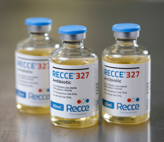 New diabetic foot infection treatment could reach Morocco under regional deal Recce Pharmaceuticals has signed a preliminary deal with a major Middle Eastern pharmaceutical firm to sell and distribute its R327 topical gel across the Middle East and North Africa.