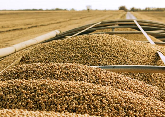 US agricultural exports to Morocco reached $815 million, up 38% compared with 2024, according to the US Department of Agriculture.