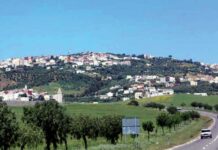 Four new hospitals planned for Taounate by 2028 A new 120-bed provincial hospital in Taounate is already being built, along with a 45-bed local hospital in Tissa.
