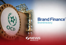 OCP Group enters global Chemicals 50 list Morocco’s OCP Group, a major producer of phosphate fertilisers, has entered the “Chemicals 50” global ranking by UK firm Brand Finance.