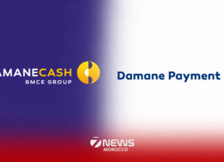 Damane Cash rolls out Damane Payment to simplify digital transactions for merchants Damane Cash, a prominent financial services provider and subsidiary of Bank of Africa, has officially launched a new dedicated brand called Damane Payment.