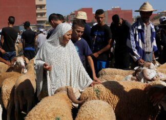 Early salaries and pensions announced in Morocco ahead of Eid Al Adha Eid Al Adha
