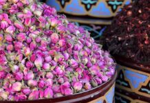 Kelâat M’Gouna expects higher rose harvest as 61st festival opens International Rose Festival began on 7 May in the valleys of Kelâat M’Gouna and Dadès, with officials expecting a stronger rose harvest