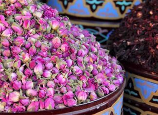 Kelâat M’Gouna expects higher rose harvest as 61st festival opens International Rose Festival began on 7 May in the valleys of Kelâat M’Gouna and Dadès, with officials expecting a stronger rose harvest