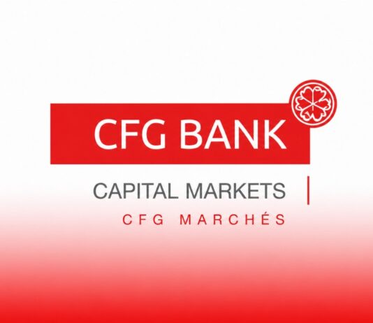 CFG Marchés more than doubles 2025 profit CFG 's financial result was a profit of 1.3 million dirhams, compared with a loss of 750,475.61 dirhams in 2024.