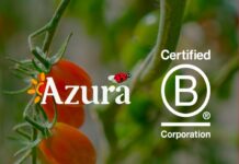 Cherry tomatoes exporter Azura joins select group of B Corp-certified producers Founded in 1988, the French-Moroccan family-owned company exports around 188,000 tonnes of cherry tomatoes to Europe each year