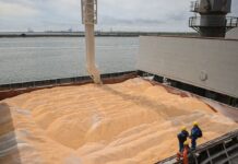 Morocco plans to lift wheat import duties after harvest recovery Morocco plans to lift soft wheat import duties from 1 August following a strong harvest and lower import needs.
