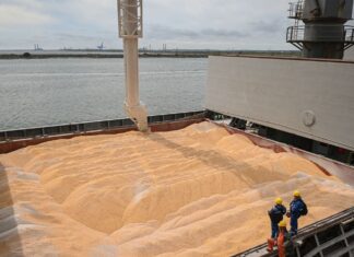 Morocco plans to lift wheat import duties after harvest recovery Morocco plans to lift soft wheat import duties from 1 August following a strong harvest and lower import needs.