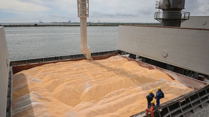 Morocco plans to lift soft wheat import duties from 1 August following a strong harvest and lower import needs.
