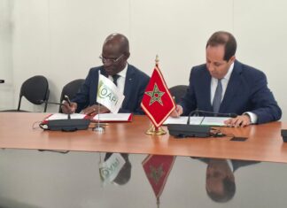 OMPIC and OAPI agree new plan to help African firms protect innovations OMPIC Director General Abdelaziz Babqiqi and OAPI Director General Denis L. Bohoussou led the meeting.