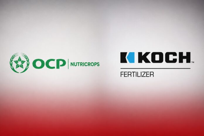 OCP Nutricrops and US-based Koch Ag & Energy Solutions have launched a new joint venture that will raise their combined phosphate OCP Nutricrops and US-based Koch Ag & Energy Solutions have launched a new joint venture that will raise their combined phosphate