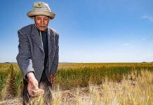 New guide explains tax breaks available to farmers Guide details tax exemptions and lower rates for farmers
