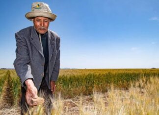 New guide explains tax breaks available to farmers Guide details tax exemptions and lower rates for farmers