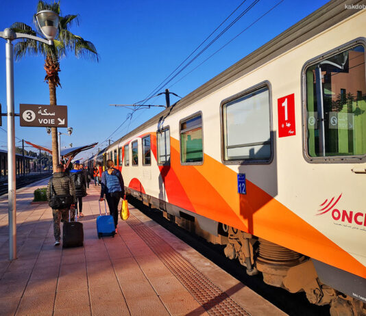 No bidders: high-speed rail project hits delay in Marrakech Marrakech high-speed rail project