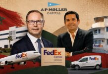 A.P. Moller Capital to take majority stake in Globex A.P. Moller Capital Globex ! AI-generated collage