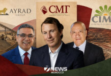 Ayrad and CIMR take control of mining firm CMT Ayrad Group and pension fund CIMR will jointly control mining firm CMT after a deal approved by the Competition Council.