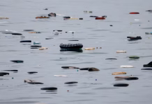 Official: 11 dead after migrants try to reach Ceuta and Melilla Eleven migrants have died while trying to reach the Spanish enclaves of Ceuta and Melilla, according to the Interior Ministry.