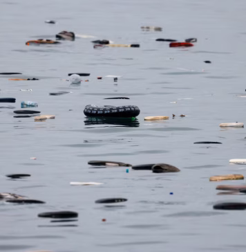 Official: 11 dead after migrants try to reach Ceuta and Melilla Eleven migrants have died while trying to reach the Spanish enclaves of Ceuta and Melilla, according to the Interior Ministry.