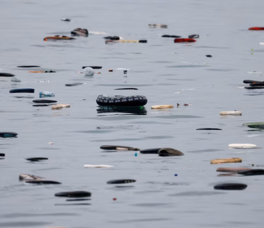 Official: 11 dead after migrants try to reach Ceuta and Melilla Eleven migrants have died while trying to reach the Spanish enclaves of Ceuta and Melilla, according to the Interior Ministry.