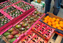 Spain takes in €890m of Moroccan fruit and vegetables in five months Spain buys €890m of fruit and vegetables from Morocco
