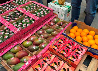 Spain takes in €890m of Moroccan fruit and vegetables in five months Spain buys €890m of fruit and vegetables from Morocco