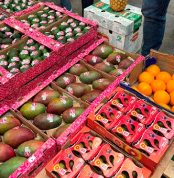 Spain takes in €890m of Moroccan fruit and vegetables in five months Spain buys €890m of fruit and vegetables from Morocco