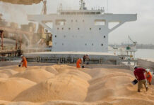 Local wheat falls short, so Morocco reopens import subsidies Morocco wheat import subsidies