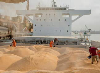 Local wheat falls short, so Morocco reopens import subsidies Morocco wheat import subsidies