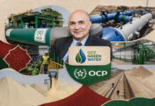 OCP goes greener, with billions planned for energy and water OCP expands desalination, renewable energy and green ammonia projects as revenue reaches $12.3bn and emissions rise in 2025.