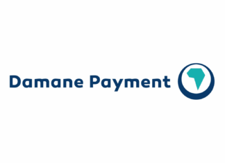 Damane Payment breaks down how digital payments work Damane Payment launches #PaymentTalks to explain digital payments
