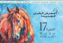 Horse experts to gather in El Jadida for science and culture talks El Jadida Horse Show