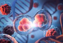 Rare disease kills 36 patients in 26-year Moroccan study A rare immune disease killed 36 of 54 patients studied in Morocco over 26 years, with only eight receiving a stem-cell transplant.